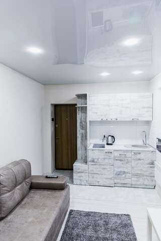 Апарт-отели Smart apartment проспект Гагарина Днепр Апартаменты-студио-32